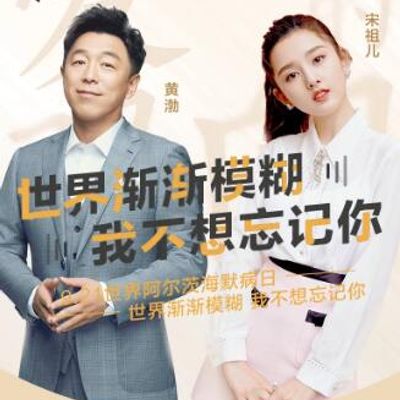 双向镜