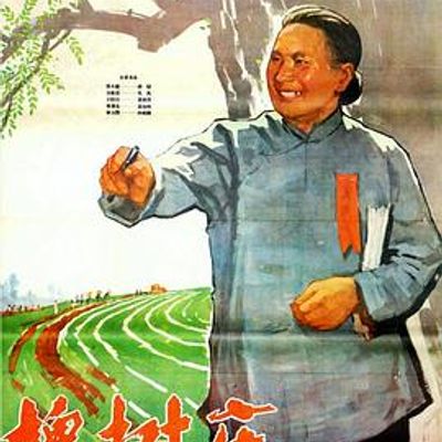 槐树庄