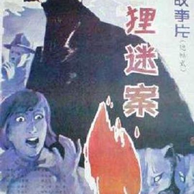 狐狸迷案