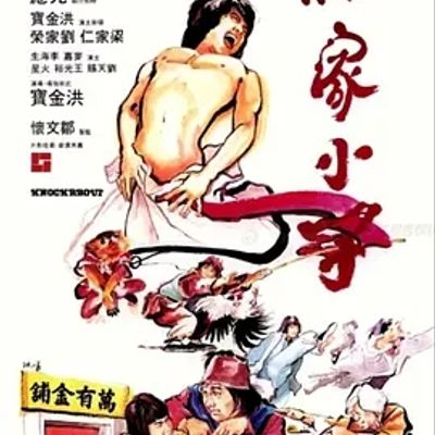 说电影《杂家小子》