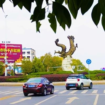 枣阳那些事儿