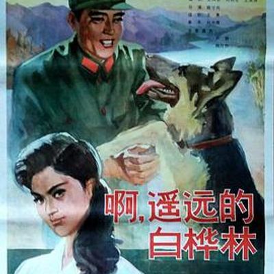 白桦林中的哨所