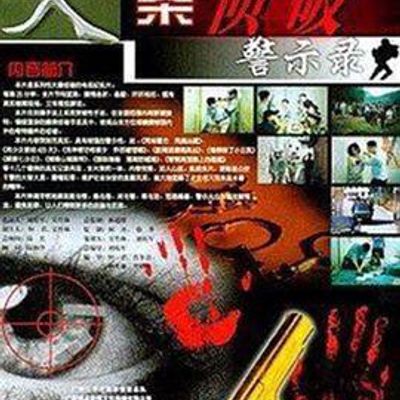 大案侦破警示录