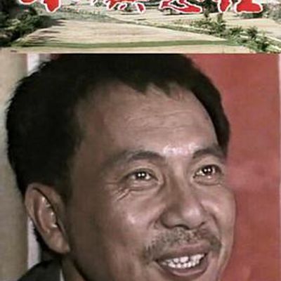小镇总理